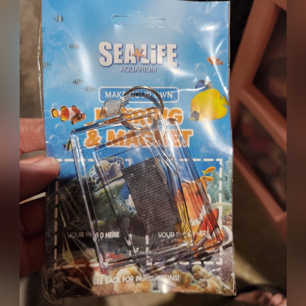 Keyring and magnet set